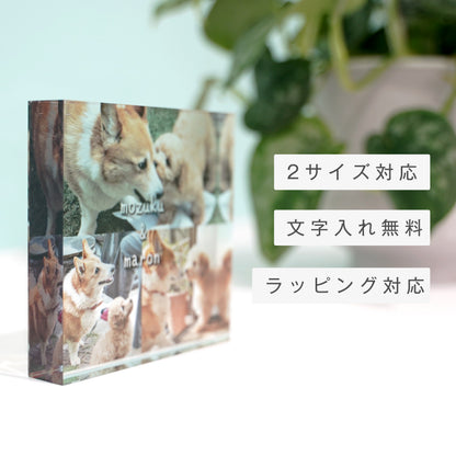 アクリルブロック #D03　